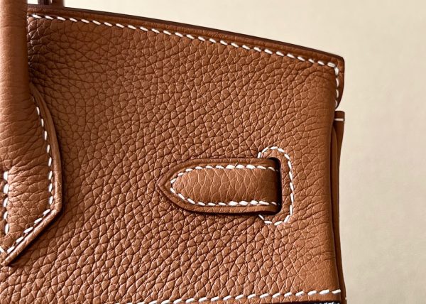 Birkin HSS 25 Togo and Canvas Gold(37) Gold Hardware - Image 5