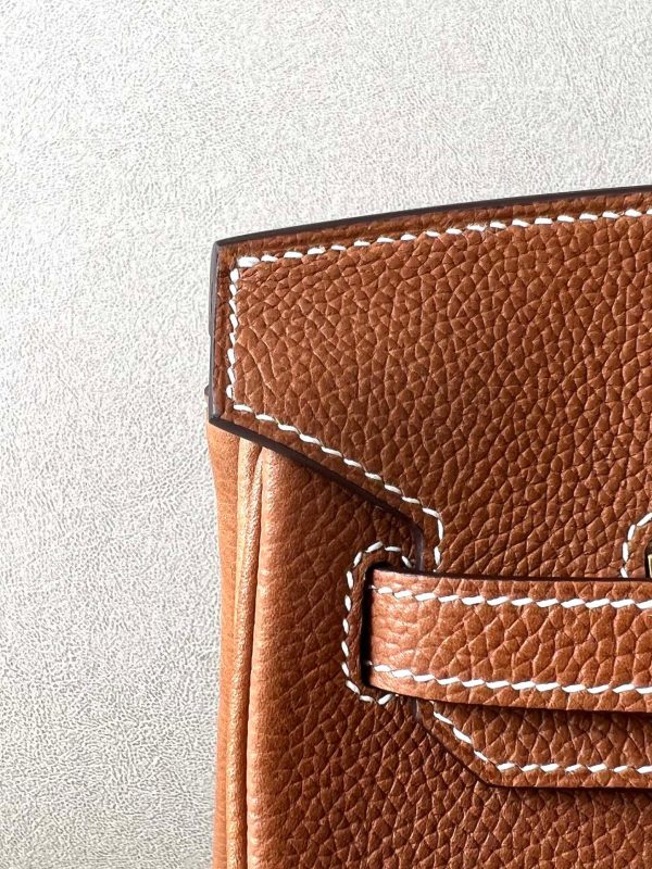 Birkin 25 Barenia Faubourg Gold(37) Gold Hardware - Image 3