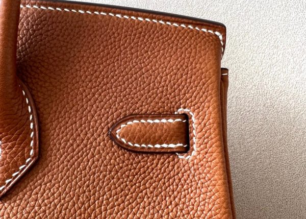 Birkin 25 Barenia Faubourg Gold(37) Gold Hardware - Image 4
