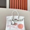 Birkin 25 Swift Nata(I2) Palladium Hardware