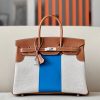 Birkin HSS 35 Barenia and Canvas in Gold(37) Palladium hardware