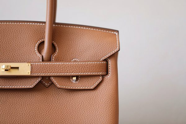 Birkin 30 Togo Gold(37) Gold Hardware - Image 10