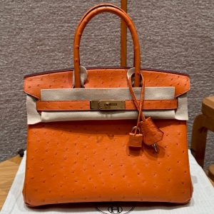 Birkin 30 Ostrich Orange (93) Gold Hardware