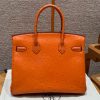 Birkin 30 Ostrich Orange (93) Gold Hardware - Image 2