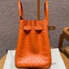 Birkin 30 Ostrich Orange (93) Gold Hardware - Image 6