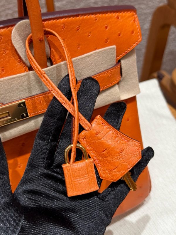 Birkin 30 Ostrich Orange (93) Gold Hardware - Image 8