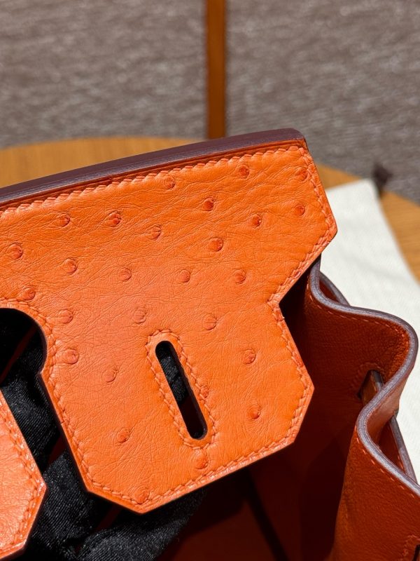 Birkin 30 Ostrich Orange (93) Gold Hardware - Image 10