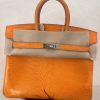Birkin 25 Lizard Orange (93) Palladium Hardware - Image 2