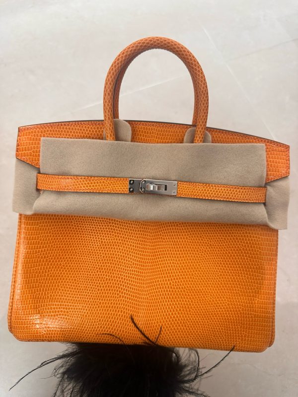 Birkin 25 Lizard Orange (93) Palladium Hardware - Image 2