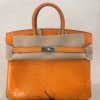 Birkin 25 Lizard Orange (93) Palladium Hardware
