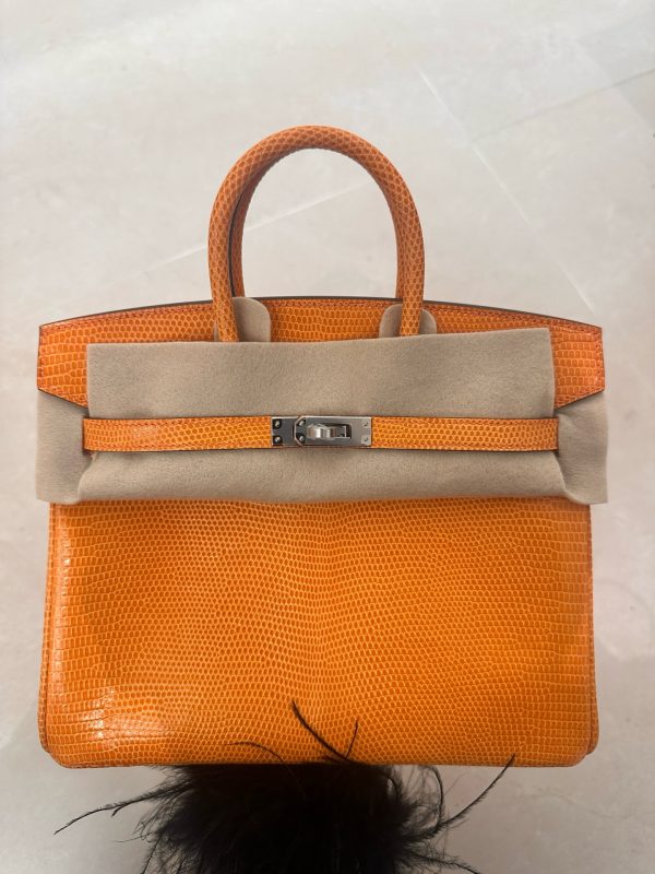 Birkin 25 Lizard Orange (93) Palladium Hardware