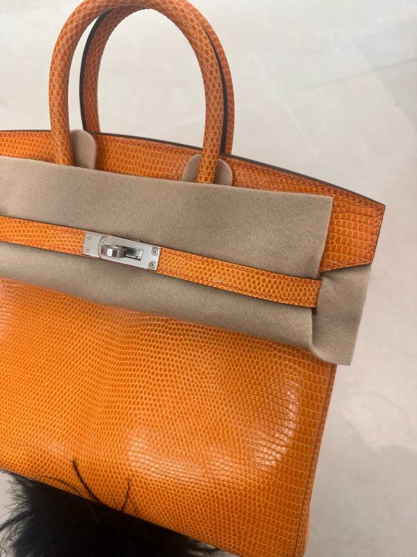 Birkin 25 Lizard Orange (93) Palladium Hardware - Image 3