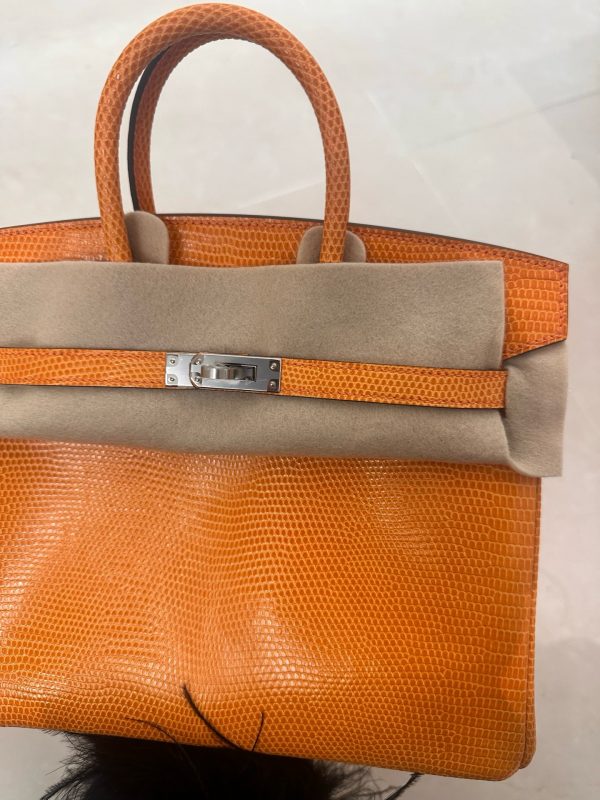 Birkin 25 Lizard Orange (93) Palladium Hardware - Image 4