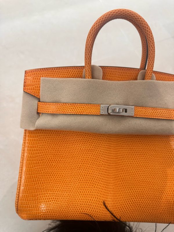 Birkin 25 Lizard Orange (93) Palladium Hardware - Image 5