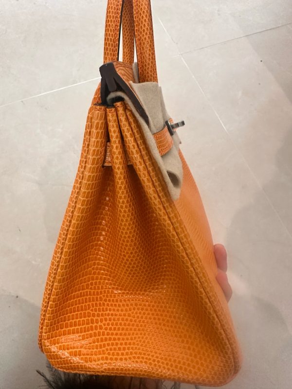Birkin 25 Lizard Orange (93) Palladium Hardware - Image 6