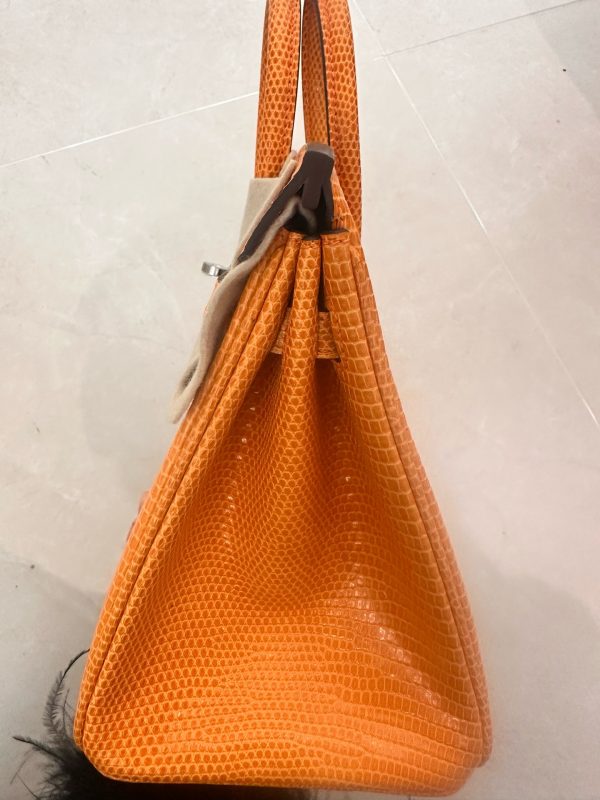 Birkin 25 Lizard Orange (93) Palladium Hardware - Image 8