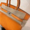 Birkin 25 Lizard Orange (93) Palladium Hardware - Image 10
