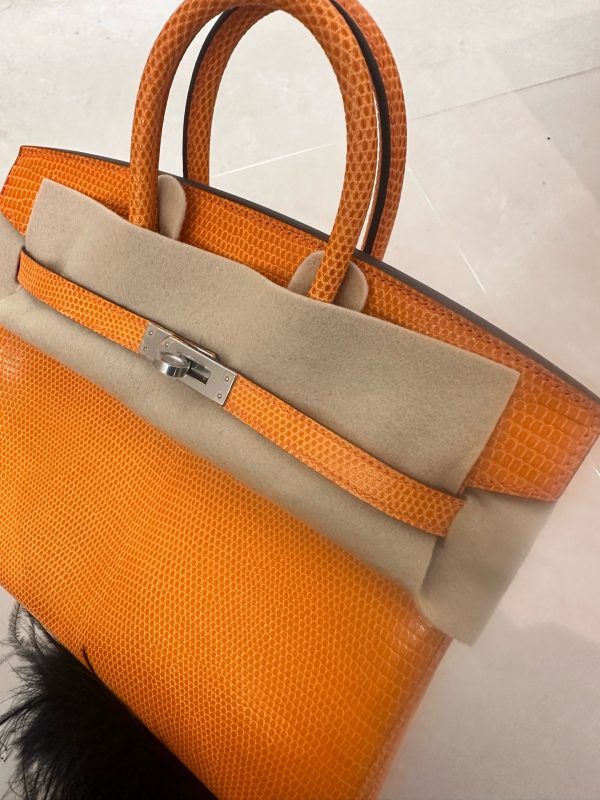 Birkin 25 Lizard Orange (93) Palladium Hardware - Image 10