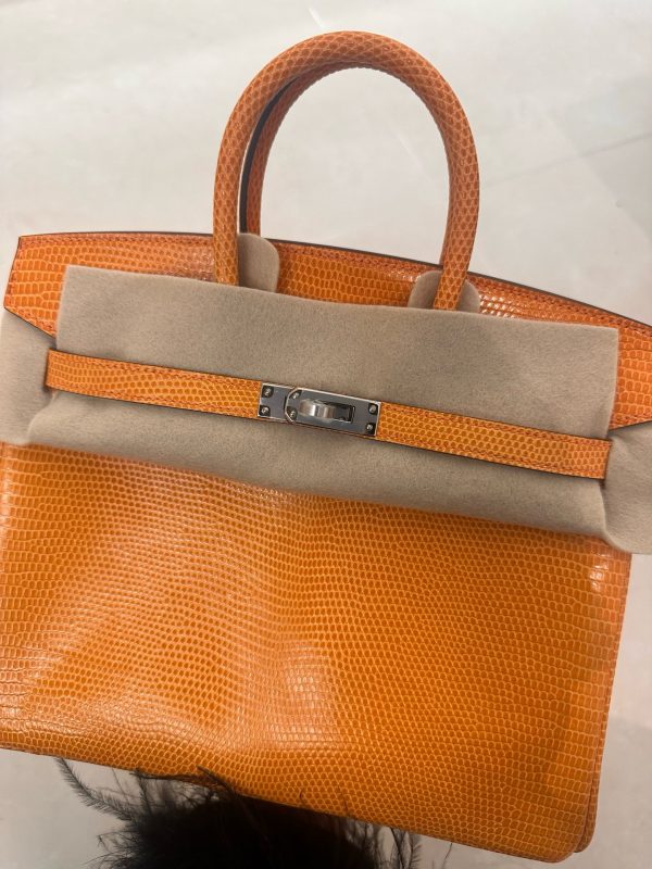 Birkin 25 Lizard Orange (93) Palladium Hardware - Image 9