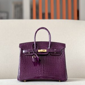 Birkin Cassis N5 Shiny  Porosus Crocodile 25  Gold Hardware
