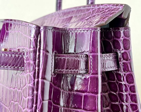 Birkin Cassis N5 Shiny  Porosus Crocodile 25  Gold Hardware - Image 4
