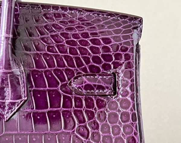 Birkin Cassis N5 Shiny  Porosus Crocodile 25  Gold Hardware - Image 6