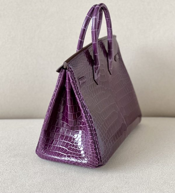 Birkin Cassis N5 Shiny  Porosus Crocodile 25  Gold Hardware - Image 8