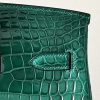 Birkin 35 Shiny Niloticus Crocodile Vert Emeraude 6Q Gold Hardware - Image 6