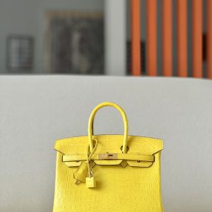 Birkin 25 Matte Niloticus Crocodile Mimosa Gold Hardware M9