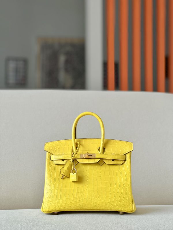 Birkin 25 Matte Niloticus Crocodile Mimosa Gold Hardware M9