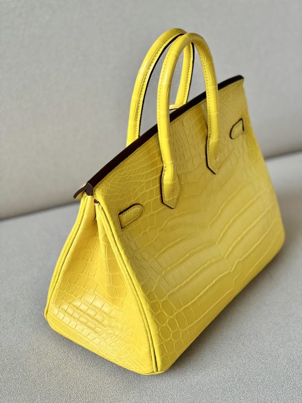 Birkin 25 Matte Niloticus Crocodile Mimosa Gold Hardware M9 - Image 9