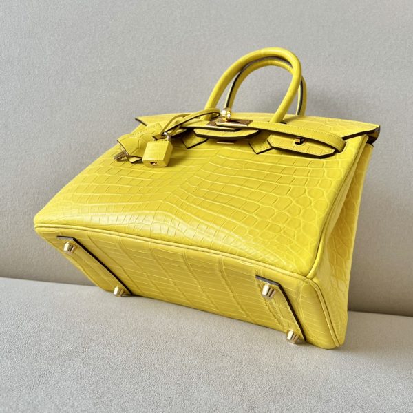 Birkin 25 Matte Niloticus Crocodile Mimosa Gold Hardware M9 - Image 8