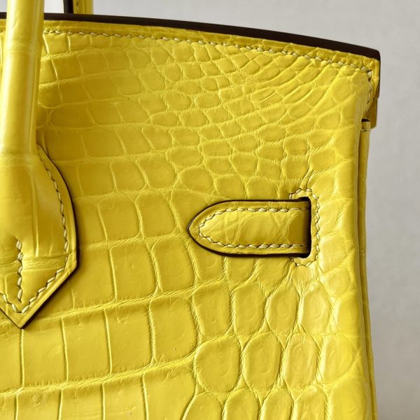 Birkin 25 Matte Niloticus Crocodile Mimosa Gold Hardware M9 - Image 7
