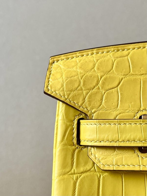 Birkin 25 Matte Niloticus Crocodile Mimosa Gold Hardware M9 - Image 6