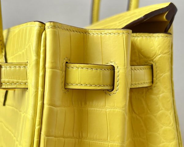 Birkin 25 Matte Niloticus Crocodile Mimosa Gold Hardware M9 - Image 5