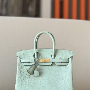 Birkin 25 Matte Alligator Crocodile Menthe Gold Hardware 6U