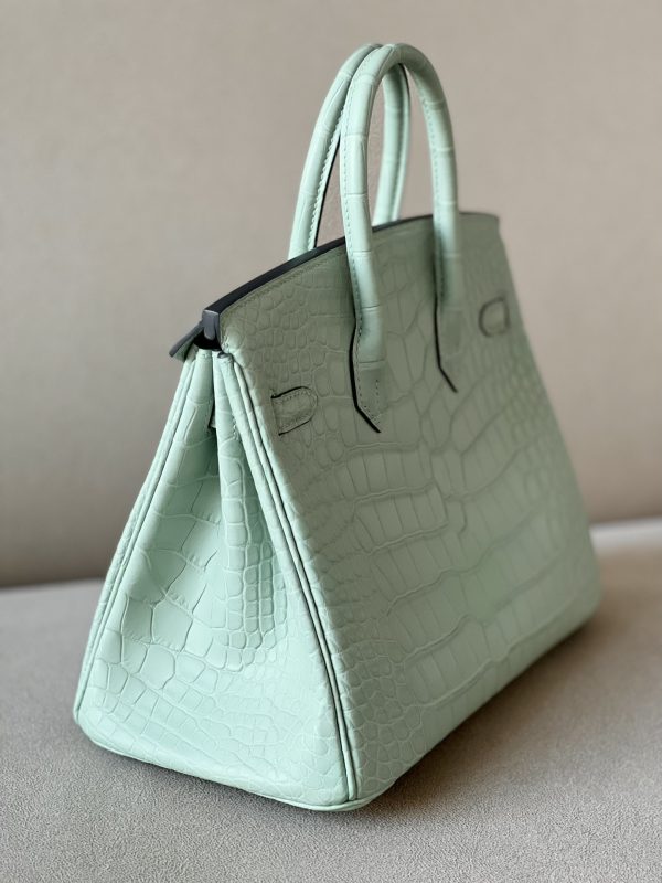 Birkin 25 Matte Alligator Crocodile Menthe Gold Hardware 6U - Image 8