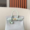 Birkin 25 Matte Alligator Crocodile Two-tone 2H kraft Y1 Vanille Gold Hardware