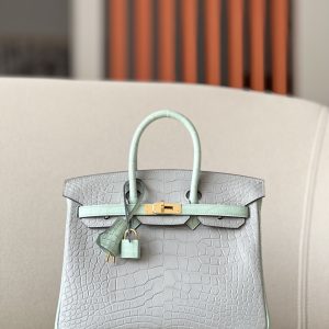 Birkin 25 Matte Alligator Crocodile Two-tone 2H kraft Y1 Vanille Gold Hardware