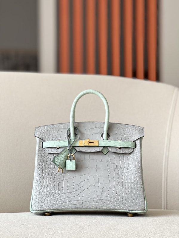 Birkin 25 Matte Alligator Crocodile Two-tone 2H kraft Y1 Vanille Gold Hardware