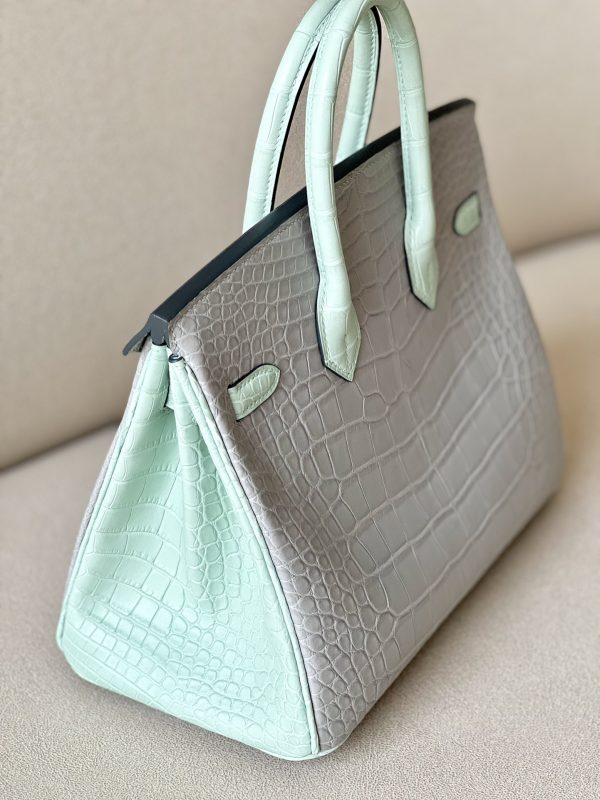 Birkin 25 Matte Alligator Crocodile Two-tone 2H kraft Y1 Vanille Gold Hardware - Image 9