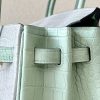 Birkin 25 Matte Alligator Crocodile Two-tone 2H kraft Y1 Vanille Gold Hardware - Image 7
