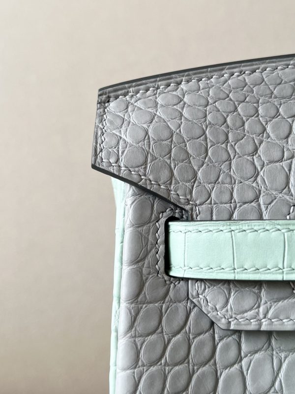 Birkin 25 Matte Alligator Crocodile Two-tone 2H kraft Y1 Vanille Gold Hardware - Image 6