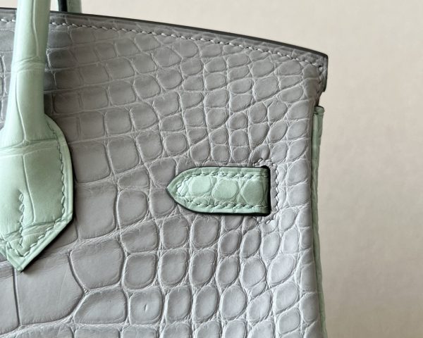 Birkin 25 Matte Alligator Crocodile Two-tone 2H kraft Y1 Vanille Gold Hardware - Image 4