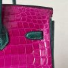 Birkin 25 Matte Niloticus Crocodile Menthe Palladium Hardware - Image 8
