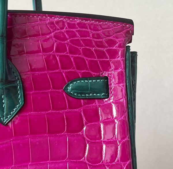 Birkin 25 Matte Niloticus Crocodile Menthe Palladium Hardware - Image 8