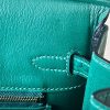 Birkin 25 Matte Niloticus Crocodile Menthe Palladium Hardware - Image 5