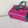 Birkin 25 Matte Niloticus Crocodile Menthe Palladium Hardware - Image 2