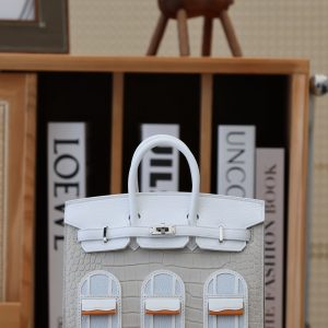 Herm¨¨s Birkin 20 Faubourg Sellier Beton Matte Alligator Palladium Hardware