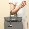 Birkin 30 Togo Etain 8F  Gold Hardware - Image 8
